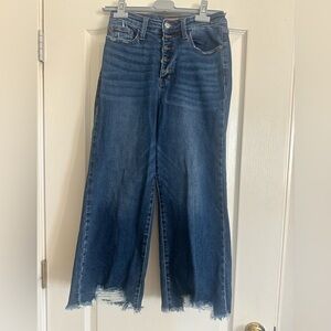 Judy Blue Wide Leg Cropped Jeans